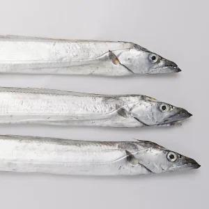 대천해 서해안 갈치 500g