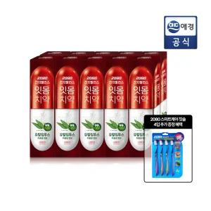 2080 진지발리스 유칼립투스 민트치약 150gX10입 (스트롱/후레쉬) + 칫솔 GIFT