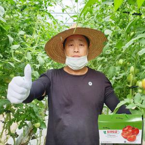 강원도 횡성 농부가 직접 통째로 갈아만든 후숙 생 토마토즙, 110ml x 30포