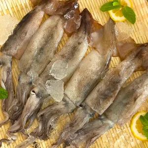 국내산 당일조업 서해 생물 오징어 4kg (16-20미)
