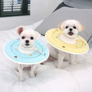 패리스독 에스프아 스폰지 강아지 고양이 넥카라 (옐로우/블루)