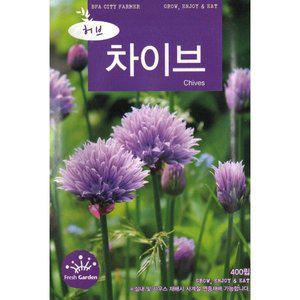 2025 씨앗 허브 차이브 (WFGUM11)