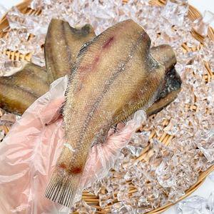 국내산 반건조 두절 참가자미 5미 x 1팩
