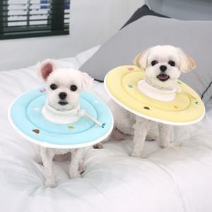 패리스독 에스프아 스폰지 넥카라 강아지 중성화 쿠션