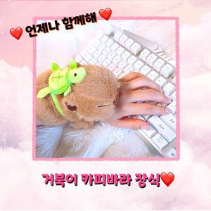 [연꼬미세상] 카피바라 거북이