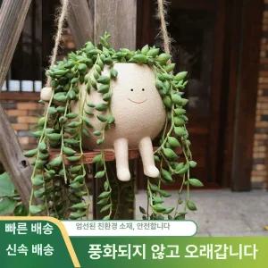 그네 타는 화분 식물 베란다 테라스 인테리어