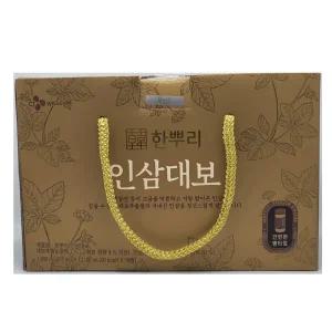 한뿌리 인삼대보 100ml 10개 x1개