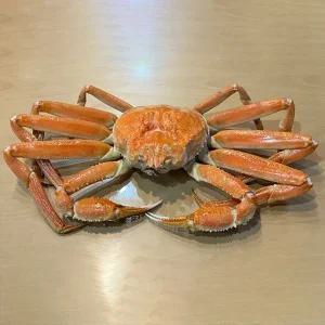 러시아 자숙 대게 A급 3kg