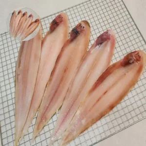 박대 5마리 반건조 담백 생선 쫄깃 없는 구이 잔가시