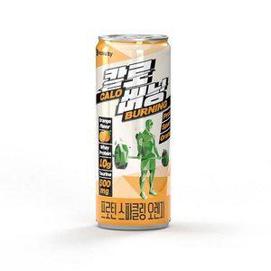 고품질 프로틴 스파클링 오렌지 250ml (WFGHRBL)