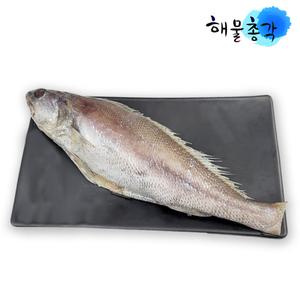 해물총각 민어 제주민어300g 반건조 탕 구이 생선