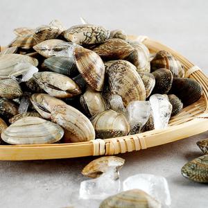대풍수산 껍질바지락 1kg
