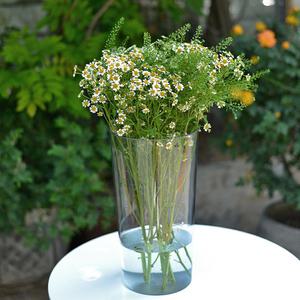 비비드하우스 깨지지 않는 아크릴 투명 대형 꽃집 화병 원통, 15.7 x 24.4 cm