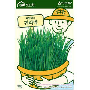아시아종묘 씨앗 새싹 귀리싹 1kg
