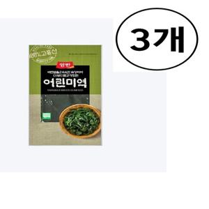 동원 양반 고흥어린미역 140g x3개