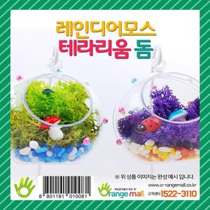 N 레인디어모스 테라리움 돔 만들기