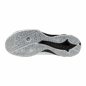 미즈노 MIZUNO 배드민턴 신발 웨이브 팡 EL2 71GA2423 후타바 SP