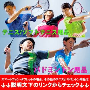 미즈노 배드민턴 신발 웨이브 팡 2 MIZUNO 폭넓은 와이드 71GA231321 SPort 포트sHEART 스포츠 하트