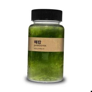 초등학교 실험 관찰생물 녹조류 해캄 100ml