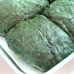 농가살리기 남해 매생이 350g*3팩 (총 1050g)