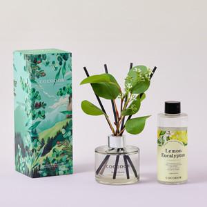 코코도르 포레스트 디퓨저 120ml + 리필액 200ml