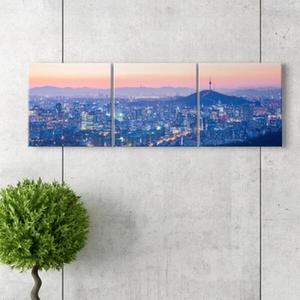 [아트박스]/꾸밈 cv535-서울풍경_남산타워_소형노프레임세트