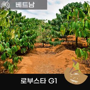 파우스빈 생두 베트남 로부스타 G1 20kg 지대포장