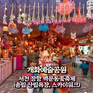 [충남] 보령 개화예술공원+서천 장항 송림 산림욕장(맥문동꽃)+대천해수욕장 당일여행 / 서울경기出