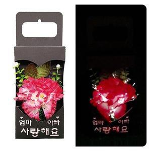 종이상자 만들기/카네이션 광섬유LED 선물  4EA