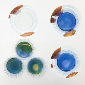 녹말분해 소화 효소 아밀레이스 실험 (5인용)-RAT