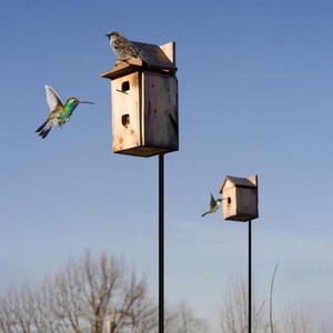 Hummingbird Feeder Hanger 헤비 듀티 버드 피딩 스테이션 1.8m 가든 다기능 기상 관측소 장착 키트