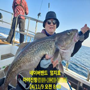 pof003 대구라바 소형전동릴 수심체크릴 혼용 덩치 대왕 대구 전용 힘좋은 전용대