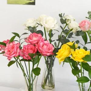 마이플랜트 생화 장미 반단 그린소재 번들 오래가는꽃 꽃선물 화병 포장 경매 꽃배달 정기구독