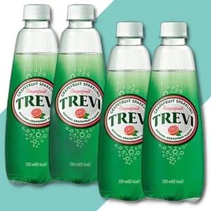 롯데 트레비 자몽 300ml 40PET 20펫x2박스 트레비 탄산음료 탄산 플레인 자몽