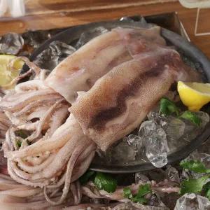 국내산 통 오징어 220g(팩당2미)*10팩 / 총20미