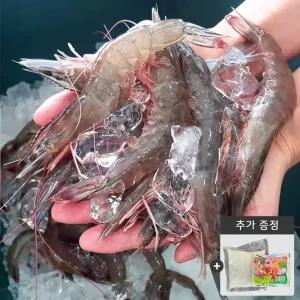 25년 당일조업 국내산 특품 활새우/대하1kg(23~28미)  산지발송 생새우, 흰다리새우 새언니