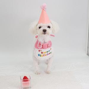 강아지 고양이 생일 파티 케이프 꼬깔 모자 세트