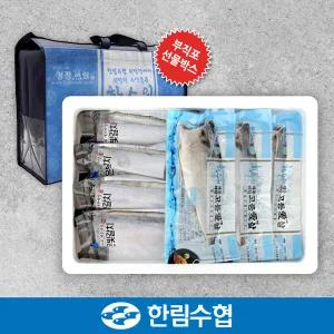 [제주 한림수협] 제주 은갈치 400gx3팩+고등어 180gx10팩+부직포가방