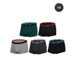 [푸마]캣 로고 무형광 주니어 드로즈 5종세트_P377999394