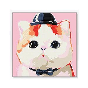 [MENP00HU_52AG]보석십자수 비즈 모자 쓴 냥이 30x30