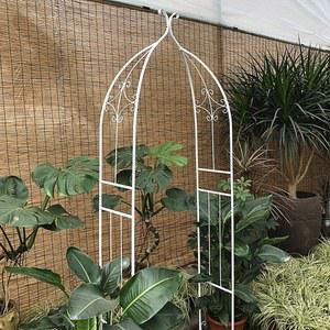 아치형 정원 조경 넝쿨지지대 덩굴지지대ㅣ녹색ㅣ120cm 143X42X284cm 펜스 덩쿨