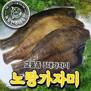 반건조 가자미 고품종 노랑가자미 특대 10마리 /1세트