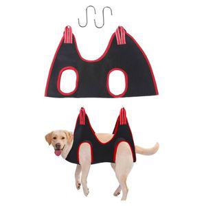 반려동물 고양이 강아지 발톱정리 빗질 애견미용해먹