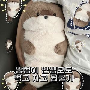 하찮은 bookaz 어린이날 집들이 뚱뚱한 게으른 베개 인형 물범 쿠션 꿀잠