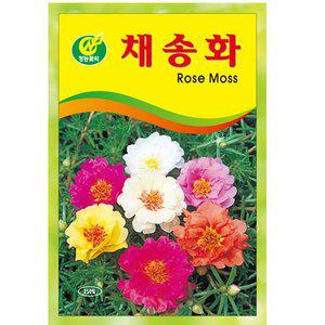 [기타]채송화 꽃씨