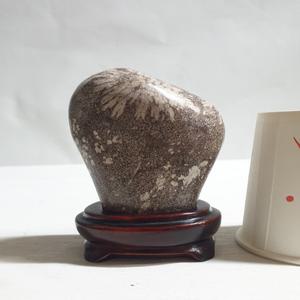 개인 수집품 수석 청송꽂돌 높이9cm 무게292g 단초마을 골동품/수집품/도자기