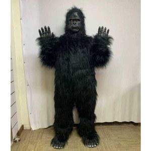 졸사 고질라 XS 박쥐 고릴라 침팬지 인형탈 남자졸업사진컨셉 탈인형