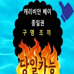 [당일가능]용인 캐리비안베이 골드시즌 하이시즌 로우시즌 종일권