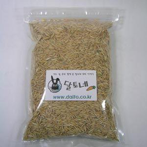 귀리 / Oat / 800g 큰포장 / 토끼먹이 / 천연간식 / 건초