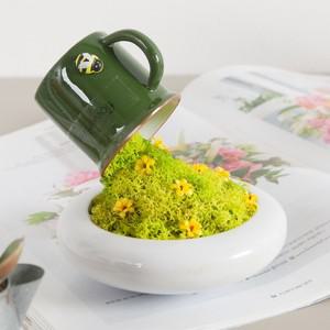 스칸디아모스 공기정화식물 센터피스 스필 수반 set 11cm 3컬러 인테리어 천연 이끼 장식 소품 플랜테리어
